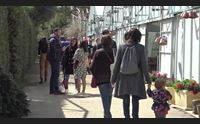 oristano serre di primavera mostra mercato vetrina del territorio
