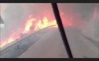 campagna antincendi decisivo il turno over di forestas