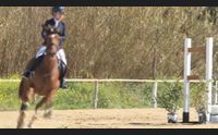 golfo aranci equitazione progetto sport in lizza giovani cavalieri e amazzoni