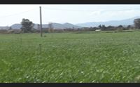 villaspeciosa campi in bolletta per la luce il doppio della spesa