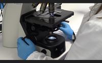 covid 10 vittime nell isola sulle 93 in italia sotgiu c entra omicron