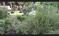 euroflora il giardino sardegna stupisce i visitatori incetta di premi