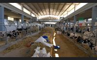 arborea la fiera dell agricoltura momento difficile ma ripartiamo