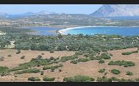 mega parco eolico (russo) da siniscola a golfo aranci la protesta parte da posada
