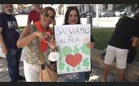 cagliari cittadini contro taglio alberi