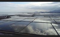 cagliari alle saline contivecchi la festa della laguna del fai