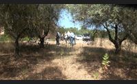 sassari da azienda agricola agris a comunit di recupero per detenuti