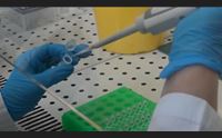 covid 2 vittime e 2400 casi orr virus che resiste al caldo e contagioso