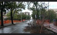 sassari dopo due anni viale trento stata riaperta al traffico
