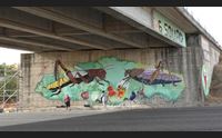 bolotana un murale per sensibilizzare le locuste non sono andate via
