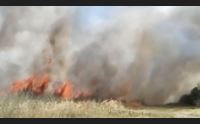 olbia incendio urbano minaccia le case molta paura in via dei lidi