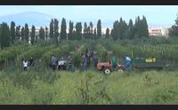 copia di alghero l alta formazione al servizio della filiera agroalimentare