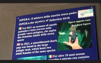 l acquario di cala gonone spegne 12 candeline e diventa sempre pi green