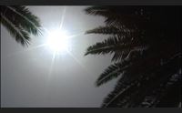 morire di caldo nel mese di luglio vittime in aumeno a cagliari 51