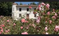 non solo mare a bolotana villa percy richiama migliaia di visitatori