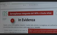 west nile gli esperti sardegna regione ad alto rischio