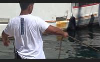 alghero lavori porto e assalto area marina protetta