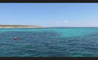cabras isola di malu entu perla selvaggia del mediterraneo