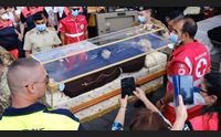 laconi accoglie sant ignazio uomo di dio che ama stare fra la gente