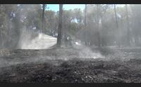 incendi a torre grande fuoco in pineta roghi anche in trexenta e sulcis