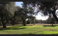 sassari nasce il circolo laudato s per una ecologia integrale
