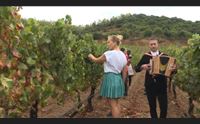 jerzu festival it a ca la vendemmia a suon di fisarmonica