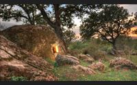 la sardegna unita nel progetto smart e trexenta experience al tourisma di firenze