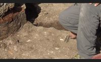 (x merc)le meraviglie di nora i nuovi regali della citt romana