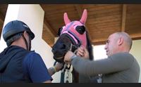 sassari successo della breve stagione ippica all ippodromo pinna