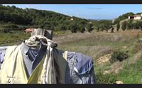 prove di turismo tutto l anno carloforte punta anche sul km zero