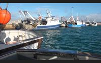 stintino la pesca risorsa non sfruttata ecco un distretto regionale