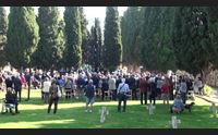 cagliari commemorazione all albero della vita costruiamo la pace