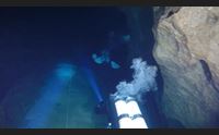 dorgali bue marino scrigno di biodiversit grotta unica al mondo