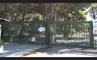 allarme aviaria a cagliari verifiche in corso rischio basso per l uomo