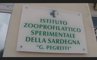 sassari l istituto zooprofilattico conferma evitiamo allarmismi