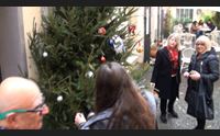 sassari natale in centro in via luzzatti l albero di natale condiviso
