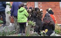 mamoiada la pioggia non ferma le danze con mamuthones e issohadores