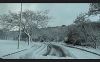 maltempo sardegna centrale isolata allerta neve prorogata a lunedi