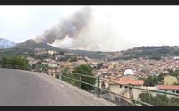 dal rapporto ecomafie spunta l allarme per gli incendi boschivi