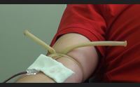 sassari per l avis un successo lo screening dei donatori 3000 esami effettuati