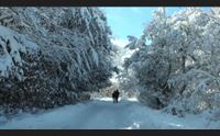 neve in sardegna non solo svago e disagi ma economia e sviluppo