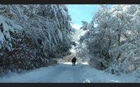 la sardegna nella morsa del gelo da domani temperature in picchiata