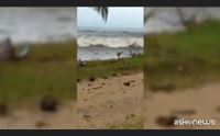 scatta l allerta rossa per rischio tsunami la prima volta nell isola