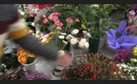san valentino i fiori di sanremo per la festa degli innamorati