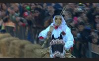 cagliari ateneo sempre pi internazionale grazie alla sartiglia