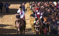 i riti del carnevale oristano e tempio domani in diretta su videolina