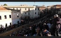 la sartiglia di oristano al gremio dei falegnami centrate 11 stelle
