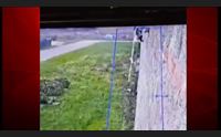 vana la caccia all evaso da badu e carros ritardi e complicit