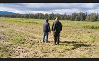 polizze agricole niente soldi dalla regione servono 35 milioni per tre anni
