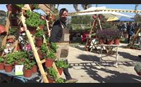 oristano primavera in giardino